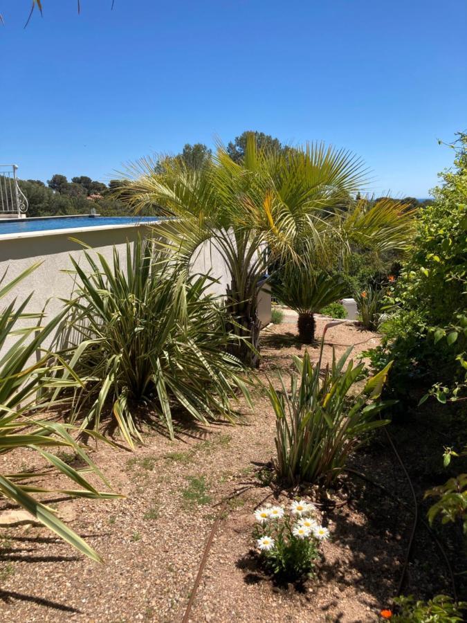 Villa Du Belvedere - La Chambre Mer Saint-Raphaël Exteriör bild